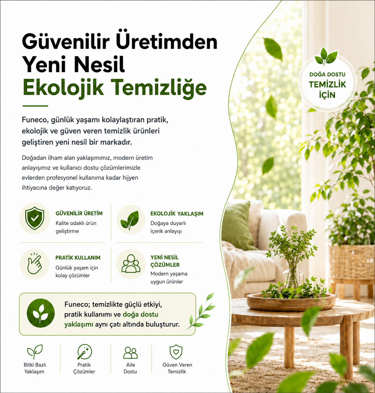 Funeco Hakkında