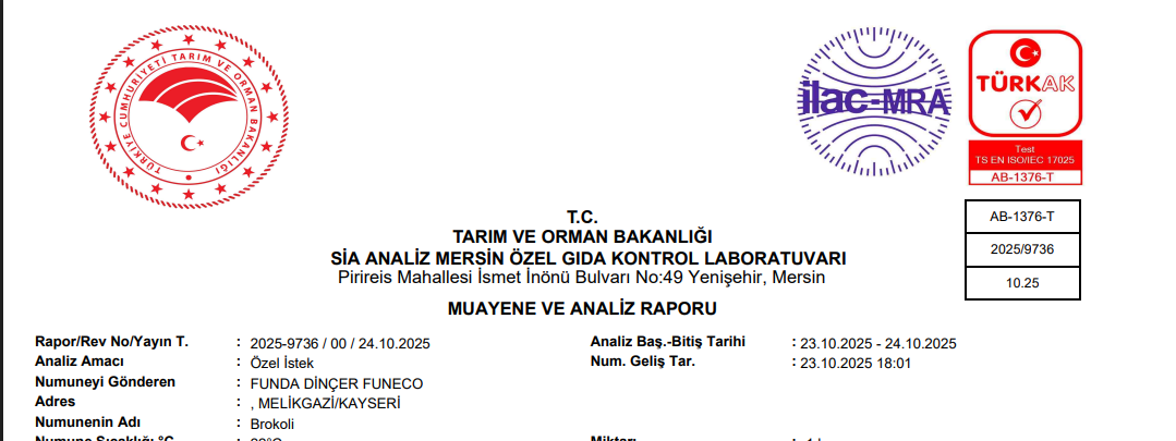 Analiz Sonuçları
